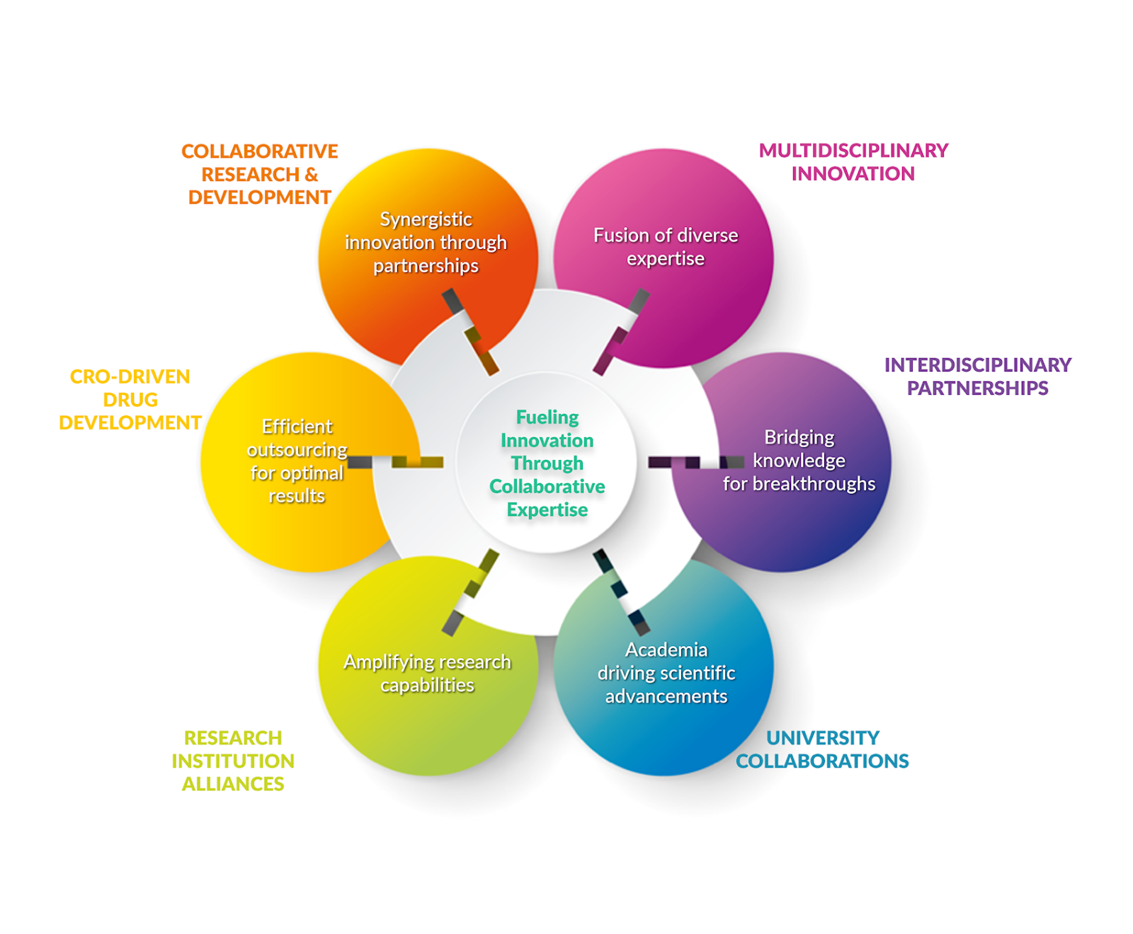Project Team Consortium